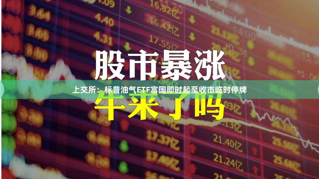 上交所：标普油气ETF富国即时起至收市临时停牌