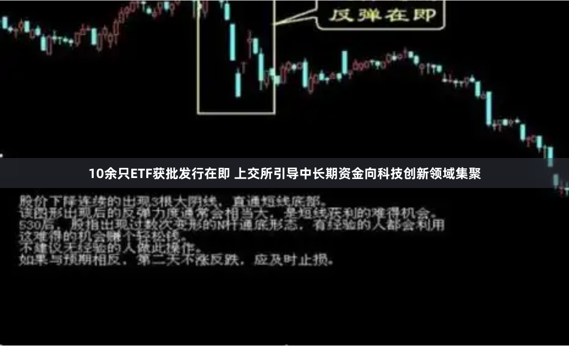 10余只ETF获批发行在即 上交所引导中长期资金向科技创新领域集聚